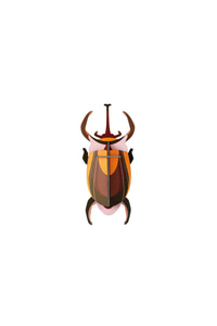 감성인테리어 코끼리 딱정벌레 elephant beetle