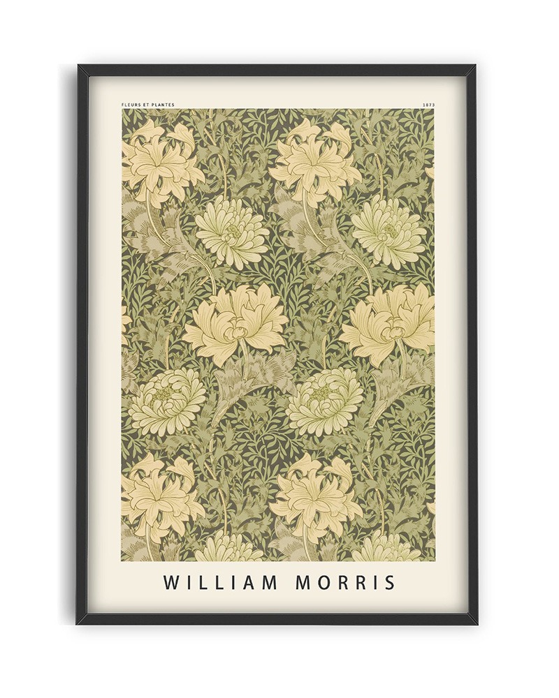 William Morris &#039;Flowers and Plants&#039;
