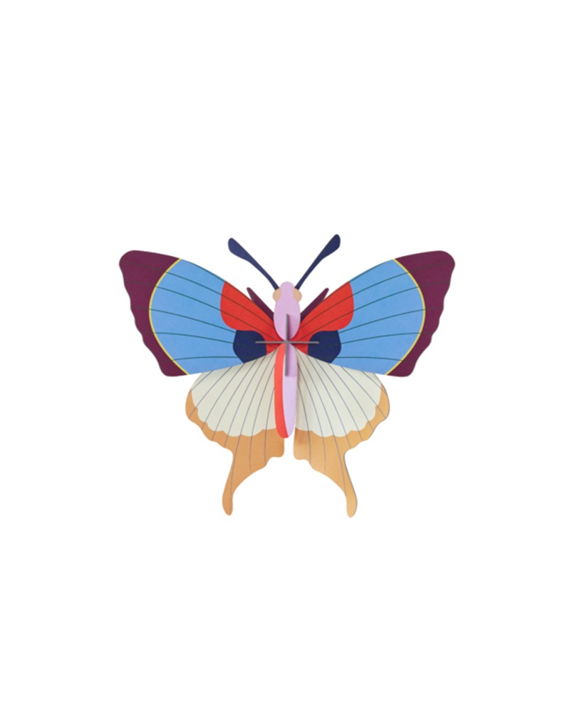 Plum fringe butterfly