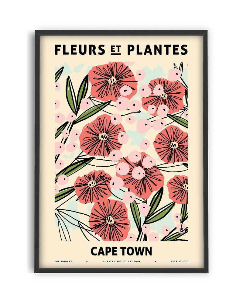 Zoe Wodarz &#039;Fleurs et Plantes - Cape Town&#039;